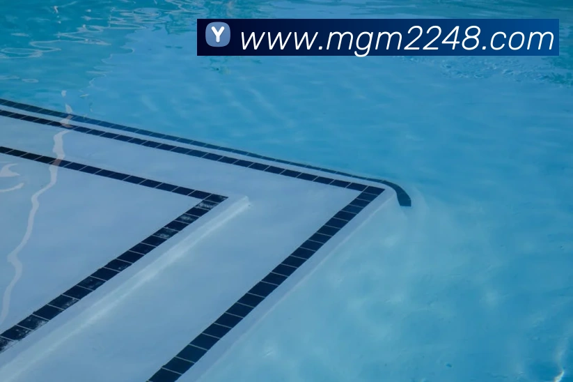 奖项证书